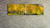 Golden Forest, Ready-to-Hang Photographic Print On Canvas