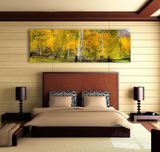 Golden Forest, Ready-to-Hang Photographic Print On Canvas