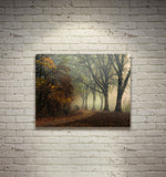 LAST COLORS OF FALL, Ready-to-Hang Photographic Print On Canvas