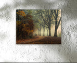 LAST COLORS OF FALL, Ready-to-Hang Photographic Print On Canvas