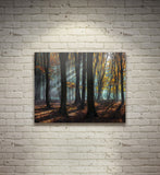 LIGHT AND SHADOWS, Ready-to-Hang Photographic Print On Canvas