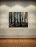 LIGHT AND SHADOWS, Ready-to-Hang Photographic Print On Canvas