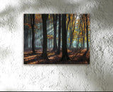 LIGHT AND SHADOWS, Ready-to-Hang Photographic Print On Canvas