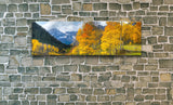Nature's Color, Ready-to-Hang Photographic Print On Canvas