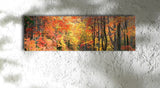October Road, Ready-to-Hang Photographic Print On Canvas