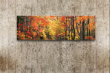 October Road, Ready-to-Hang Photographic Print On Canvas