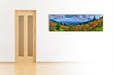 Roan Mountain, Ready-to-Hang Photographic Print On Canvas