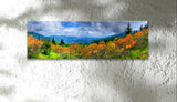 Roan Mountain, Ready-to-Hang Photographic Print On Canvas