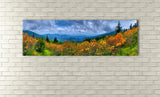 Roan Mountain, Ready-to-Hang Photographic Print On Canvas