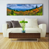 Roan Mountain, Ready-to-Hang Photographic Print On Canvas