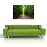 BAMBOO PATH, Ready-to-Hang Photographic Print On Canvas