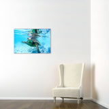 FRIENDLY HAWAIIAN SEA TURTLE, Ready-to-Hang Photographic Print On Canvas