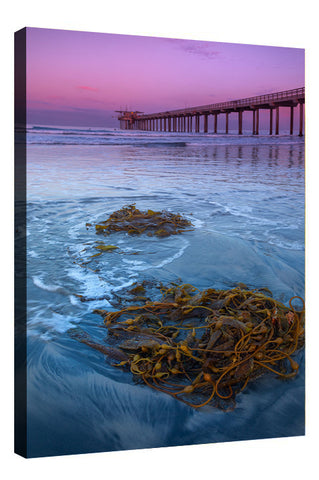 Scripps