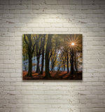 SPOTTED, Ready-to-Hang Photographic Print On Canvas