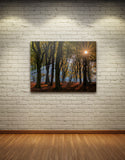 SPOTTED, Ready-to-Hang Photographic Print On Canvas
