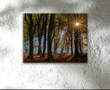 SPOTTED, Ready-to-Hang Photographic Print On Canvas
