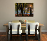 SPOTTED, Ready-to-Hang Photographic Print On Canvas