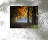 THREE OF A KIND, Ready-to-Hang Photographic Print On Canvas