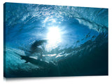 Touch The Light Photographic Print On Canvas By Sean Davey