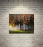 TWINS, Ready-to-Hang Photographic Print On Canvas