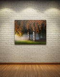 TWINS, Ready-to-Hang Photographic Print On Canvas