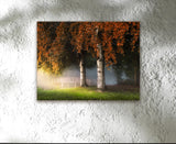 TWINS, Ready-to-Hang Photographic Print On Canvas