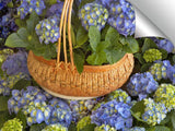 Hydrangea In Handmade Basket Photographic Print On Canvas By Dennis Frates