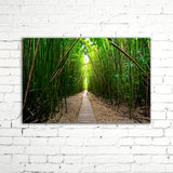 BAMBOO PATH, Ready-to-Hang Photographic Print On Canvas