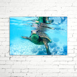 FRIENDLY HAWAIIAN SEA TURTLE, Ready-to-Hang Photographic Print On Canvas