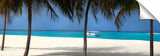 Zitahli_13_60_BeachPalms-1024x318_c