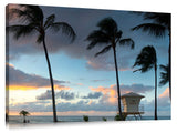 Windy_Palms
