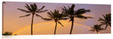 RainbowPalms_042612_088-1024x317_r