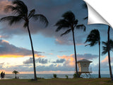 Windy_Palms