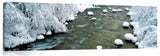 PA0183L_c
