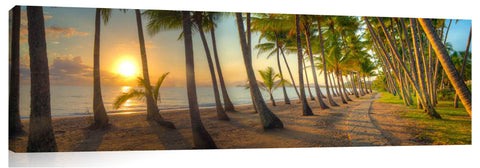 772A-Palm-COve-sharp_c