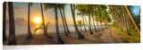 772A-Palm-COve-sharp_c