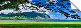 Kaava_101407_20x60_002_KaavaShade-1024x317_c