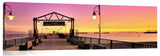 SD205WEB_c