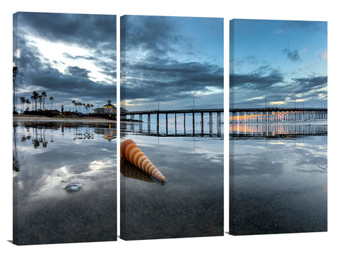 Newport_Pier_coneshell_