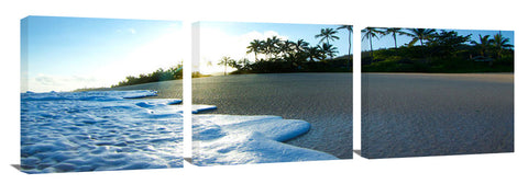 LogsSunrise_052112_392_BeachFoamSunrise-1024x317_c