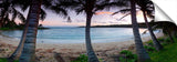 Kawelah_13_18_CoconutTreePastels-1024x317_c