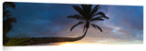 SunsetSunset_12_14_SunsetPalm-1024x317_c