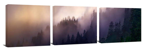 Sunrise-Sihlouette_3d