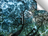 Tree_Map