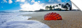 SunriseShell_072611_0466-7_60x20_e-1024x317_c