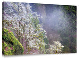 F01515DL