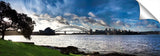 Sydney Harbour bridge and Opera House, viewed from Mrs Macquaries Chair.