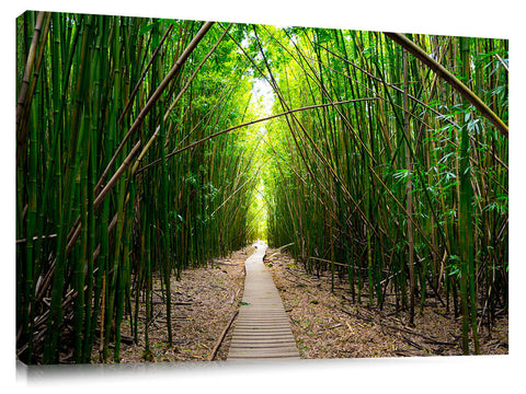 Pipiwai Bamboo train on the island of Maui.