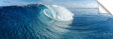 SD85WEB_glassbowl_micronesia_62x20_c