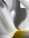 DSC0255